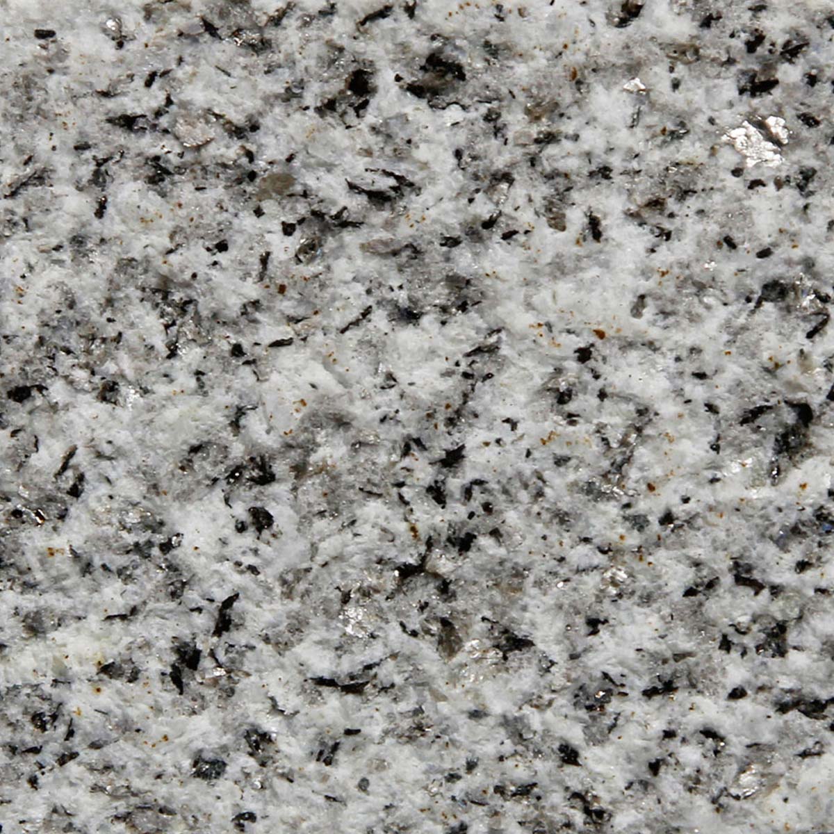 Granito Gris